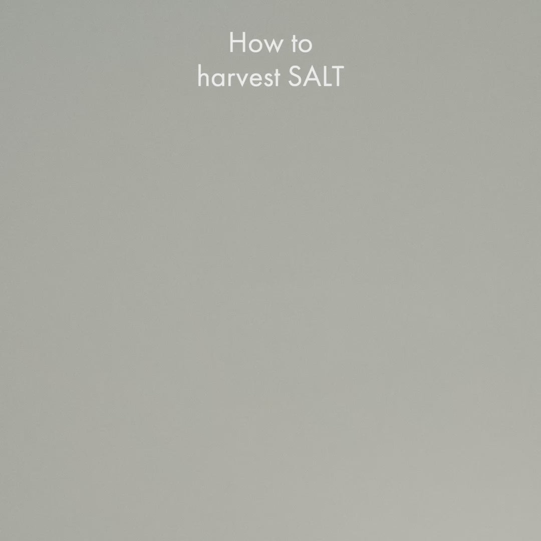 SALT by Boir x Ignant